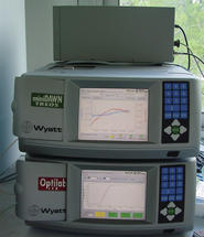 Quartärstruktur eines Membranproteins