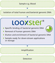 xLooxsterAN1