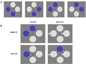 leica-fusionoptics-1_Studie