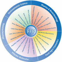 postnova-fff-image-2b_1