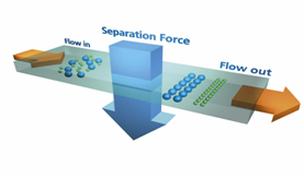 postnova-fff-image-5