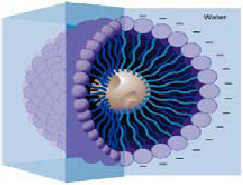 Wyatt-Partikel_mit_Potenzial-Abb2