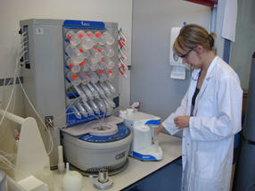 CEM-Biochemie-Abb2