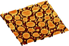 WiTec-3D-Imaging-Abb3