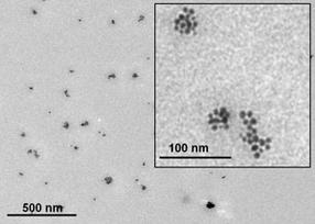 Wyatt-Ag-Nanopartikel-Abb3b