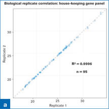 RealTime ready RT-qPCR Assay Development and Qualification