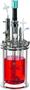 DASGIP - Parallel Bioreactor Systems for Unparalleled Results