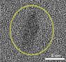 titanium dioxide nanocrystal