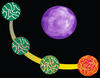 Colloid spheres