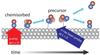 X-ray laser reveals chemical reaction