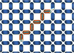 Looking for clues in spin ice: Spectral fingerprint of magnetic monopoles discovered