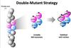 Biologists take snapshot of fleeting protein process