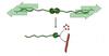 A molecular ripcord for chemical reactions