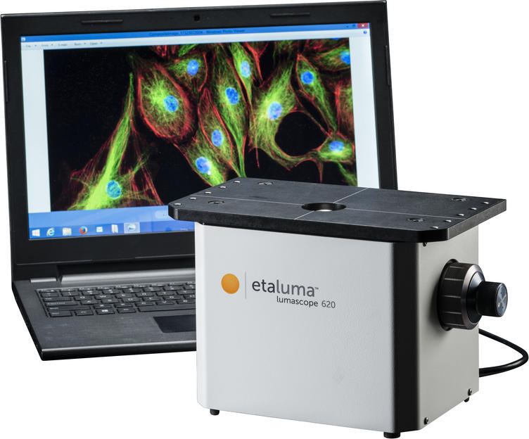 Fluorescence Microscopy Directly in Your Cell Culture Incubator