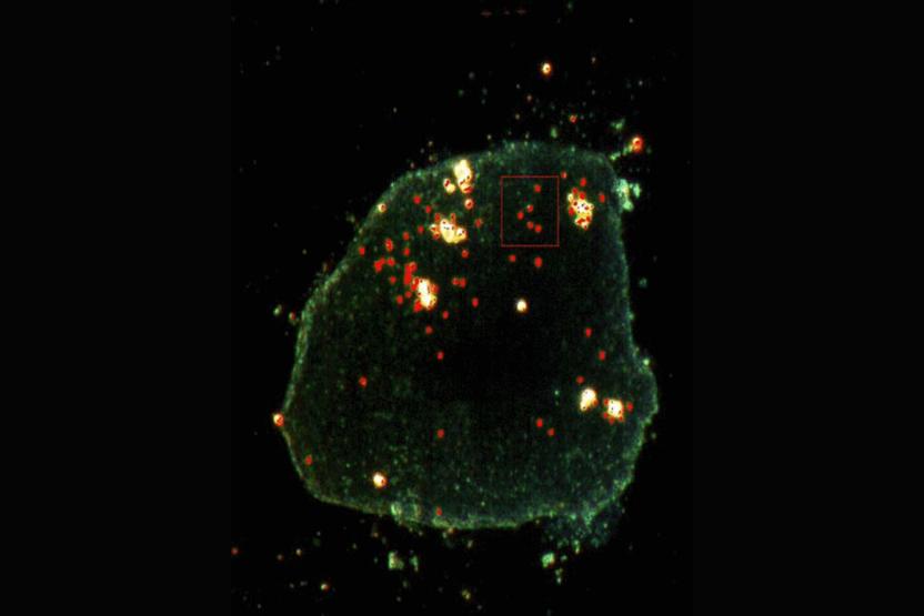 Darkfield microscopy high resolution nanoparticle analysis