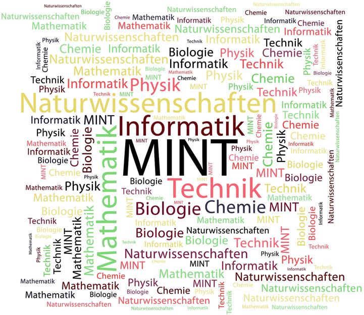 Fachkräftemangel im MINTBereich auf Rekordhoch