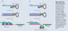 roche-02-07-wu-fig1