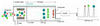 gas-spurenanalyse-image1