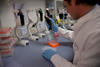 1_Gilsonpipettieren1