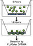 BMG_LABTECH-Analysis_of_Prostate_Tumour_Cell-Abb1