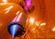 Quantum gas in free fall
