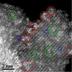 Nanocatalyst is a gas
