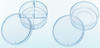 Improve your Microscopic Vision