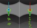 Cells communicate in a dynamic code