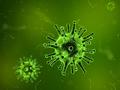 First line of defence against influenza further decoded