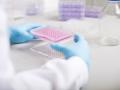 Greiner Bio-One übernimmt Anteile von Nano3D Biosciences