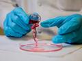 Repellent research: Ship coatings to reduce fuel, energy costs