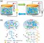 A smart safe rechargeable zinc ion battery based on sol-gel transition electrolytes