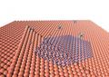 Researchers reveal the growth of graphene near polycrystalline substrate grain boundaries