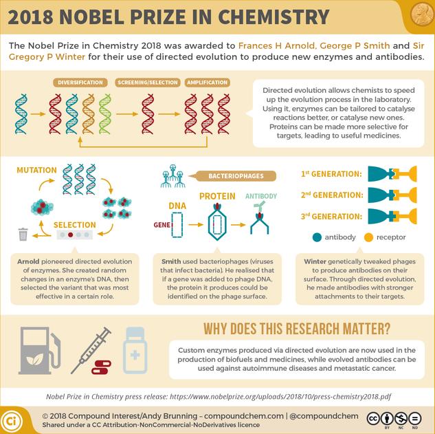 The 2018 Nobel Prize in Chemistry: Harnessing evolution to produce new enzymes and antibodies