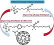 Fullerenes Bridge Conductive Gap in Organic Photovoltaics