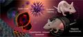 Meilenstein bei der Verwendung von Nanopartikeln zur Abtötung von Krebs durch Wärme erreicht