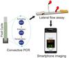 Using quantum dots and a smartphone to find killer bacteria