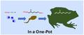 Researchers develop chemical reaction method for more efficient drug production