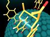 Visible light and nanoparticle catalysts produce desirable bioactive molecules