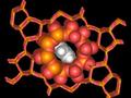 Forscher entdecken neue Bausteine von Katalysator-Zeolith-Nanoporen
