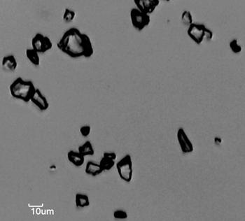 Sample “quartz powder 2” under the microscope.