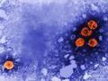 Hepatitis B Viren