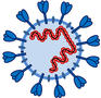 Vermehrung von SARS-Coronavirus-2 im Menschen verhindern
