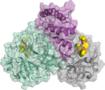 Coronavirus: Forscher finden Ansatz für Medikamenten-Entwicklung