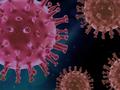 Fehlende Verbindung im Coronavirus-Sprung von Fledermäusen auf den Menschen könnten Schuppentiere sein