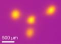 Millionenfach schnellerer Wechsel von zirkular polarisierten Lichtpulsen