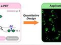 General descriptor sparks advancements in dye chemistry