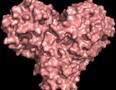 Röntgenstrahlen vergrößern die Proteinstruktur im 'Herzen' des COVID-19-Virus