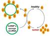 Designer Circular RNA as Protein Sponge for Cancer Therapy