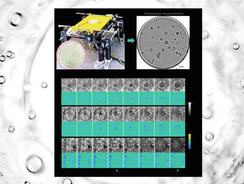 a, Schematic of the device. b, Whole plate image of E. coli and K. aerogenes colonies. c, Example images of the individual growing bacterial colonies detected by a trained deep neural network. The time points of the detection and classification of growing colonies are annotated with blue arrows. The scale bar is 0.1 mm. This research received funding from US ARO.
